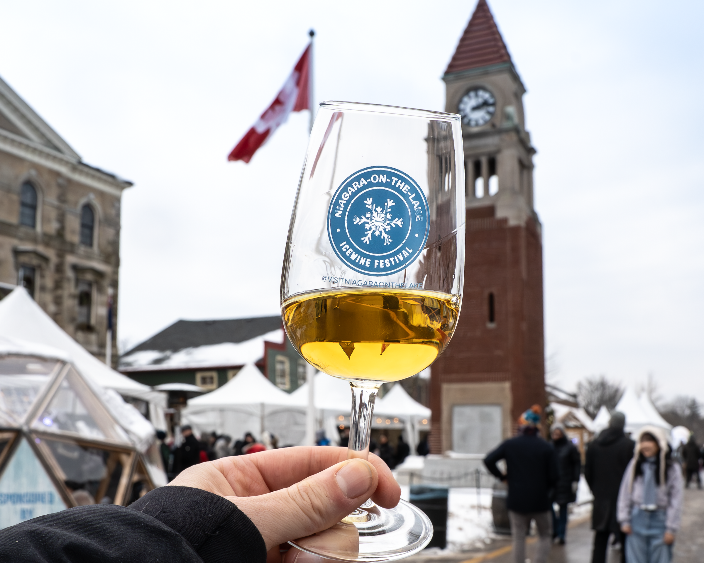 Icewine Village VIP Pass