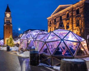 WNOTL SNOW GLOBE Icewine Village Private Snow Globe